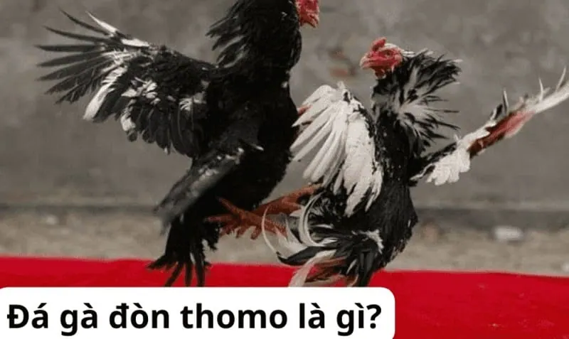 Hình minh họa hướng dẫn 9Vnd